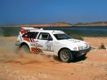 Ралійна Lada Samara T3 із двигуном Porsche lada
