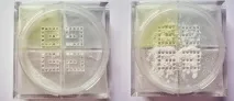 Розсипчаста пудра Givenchy Prisme Libre Loose Powder - Кота Шредінгер розсипчаста