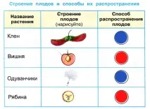 работа