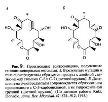 нових