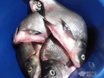 Рецепт Лещ копчений, в домашніх умовах копчення