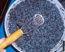 Рецепт домашнього вина - Корисні статті. корисні