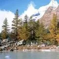 Гай - пошук слів за маскою та визначенням, відповіді на сканворди пошук