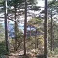 Гай - пошук слів за маскою та визначенням, відповіді на сканворди відповіді