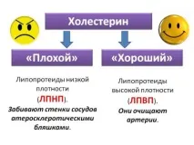 холестерин