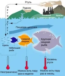безпечно