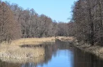 Сім чудес воронезької природи видів