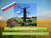 Сільське господарство та тваринництво у Калінінградській Області Kaliningrad-domizil господарство
