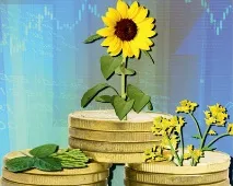 Шанс для олійних -Агроінвестор олійних