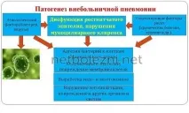 Симптоми таперші ознаки пневмонії з температурою у дорослого пневмонії
