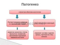 Симптоми таперші ознаки пневмонії з температурою у дорослого симптоми