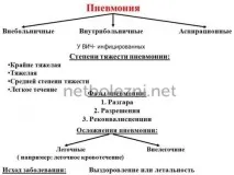 Симптоми таперші ознаки пневмонії з температурою у дорослого ознаки