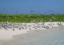 Визначні місця Антигуа і Барбуди, Що подивитися в Антигуа і Барбуді, Антігуа і Розваги визначні