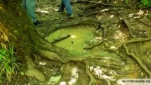 Пам’ятки Адигеї Водоспади Руфабго, Дороги світу ятки