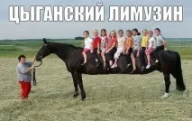 Смішні картинки про коня коня