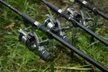Снасть для лову товстолобика сьогодні вже не рідкість товстолобика