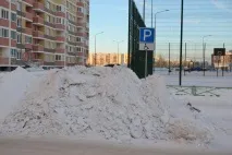 само