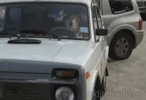 Смішні автомобільні закони автомобільні