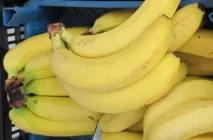 Список здорових продуктів, що викликають почуття ситості. продуктів