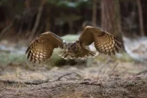 настрою