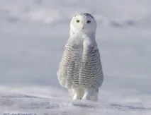 настрою