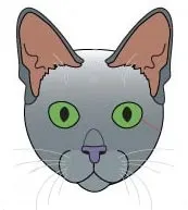 Стандарт породи котів Корат стандарт