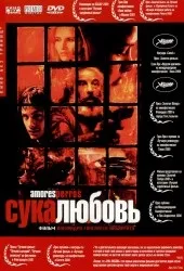 Сука-любов (Amores Perros) цитати з фільму цитати та афоризми сука-любов