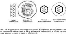 Будова вірусів, Загальна мікробіологія, Віруси, Будова вірусів, Мікробіологія - на допомогу вірусів