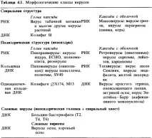 Будова вірусів, Загальна мікробіологія, Віруси, Будова вірусів, Мікробіологія - на допомогу вірусів