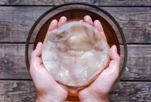 Чи корисний чайний гриб, як про нього говорять чайний