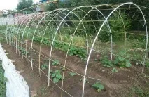 Теплиця (парник) із склопластикової арматури арматури