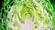 Топ-7 продуктів від алергії на сонці продуктів