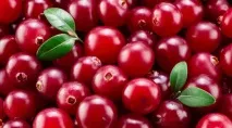 Топ-7 продуктів від алергії на сонці сонячних