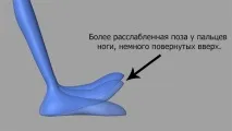 щодо