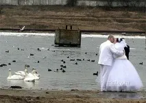 Топ 100 фотографій, які ніколи не потраплять у весільний альбом (100 фото) - Трініксі фото