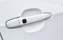 гібрид