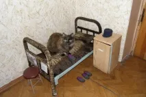 Тюремний котейка ліжко тумбочку
