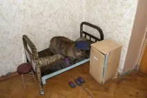 Тюремний котейка ліжко