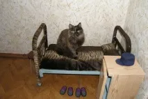 Тюремний котейка ліжко