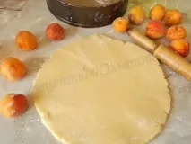 Сирний пиріг з абрикосами. його