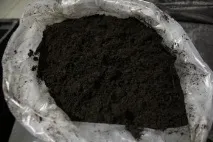 Добриво грунту торфом особливості, збагачення торфу, витяжка добриво