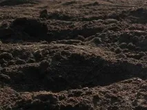 Добриво грунту торфом особливості, збагачення торфу, витяжка добриво