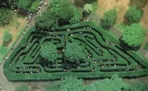 Палац Хемптон Корт (Hampton Court) – найвідоміший лабіринт hampton