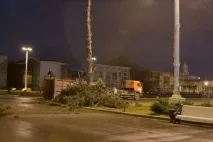 Їли були блакитні, липи стали золоті, Партія ЯБЛОКО стали