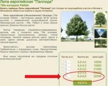 Їли були блакитні, липи стали золоті, Партія ЯБЛОКО стали
