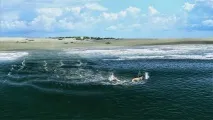 Вас забирає в море - що робити забирає