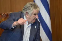 У вас поросячі хвостики, вуха, і хрюкаєте ви як свині хвостики