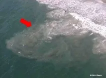 Вас забирає в море - що робити море