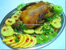Качка з апельсинами качки