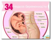 УЗД 34 тижні вагітності показники, розшифровка, фото фото